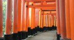 Verkenning in traditioneel Japan