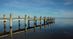 In Zeeland met Dr. Luc Swinnen