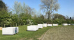 * Waregem: Stief DeSmet en symposium Van Steen tot Beeld