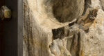 * Tentoonstelling MDD: Carol Bove / Carlo Scarpa